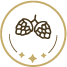 Lúpulos e leveduras Holandesas